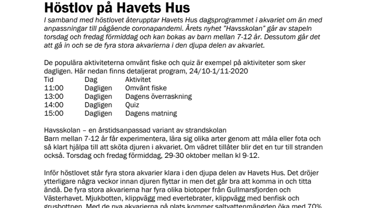 Höstlov på Havets Hus