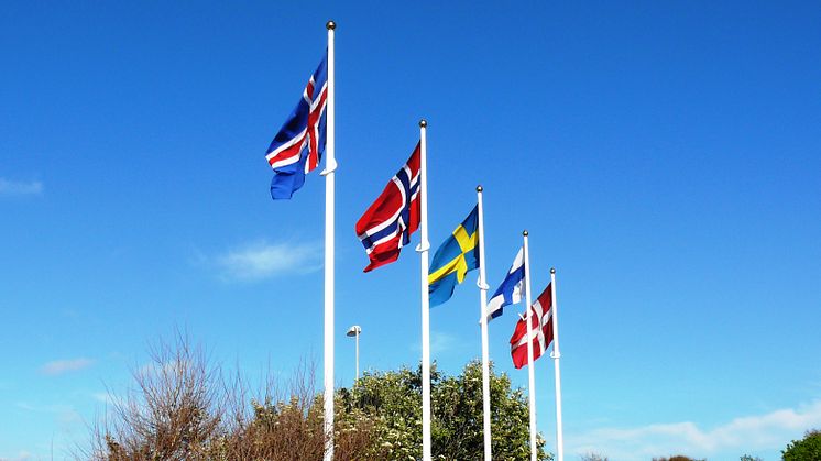 Nyheter på vår hemsida
