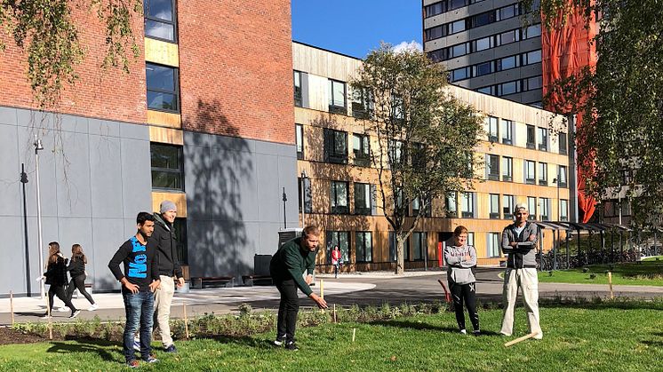 Åpning av helt nye, grønne og sosiale uteområder på Kringsjå Studentby