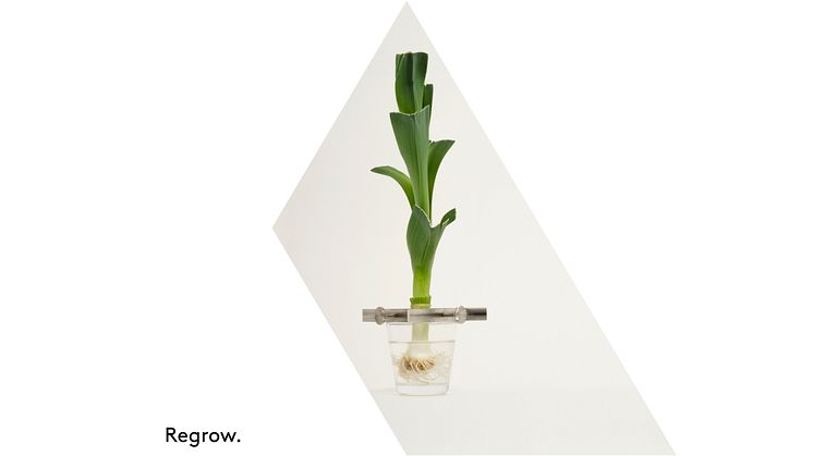 Grönsaksodling Regrow – design Madeleine Nelson