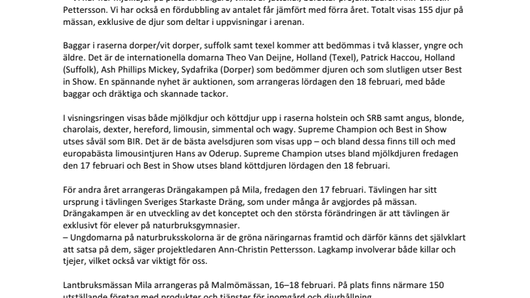 Baggauktion, Drängakamp och landets bästa avelsdjur