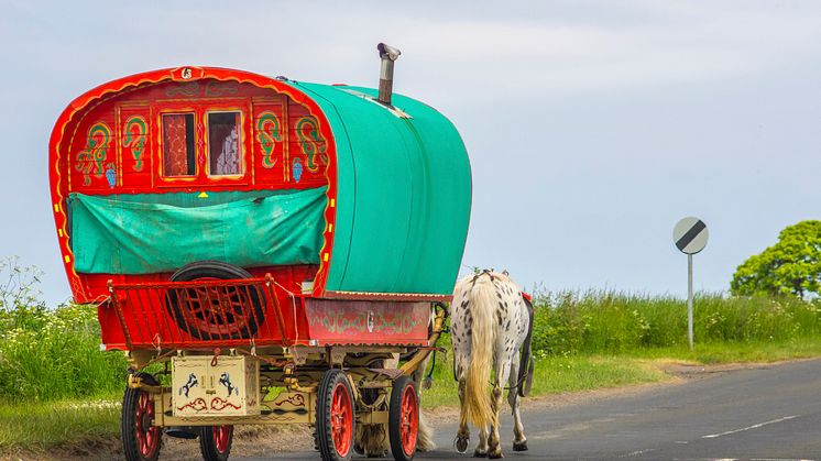 Research aims to improve Travellers’ health