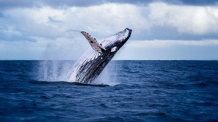 Catch up on the main nature policy news from March
