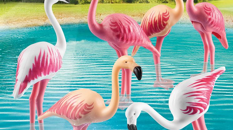 PLAYMOBIL_70351_Flamingoschwarm