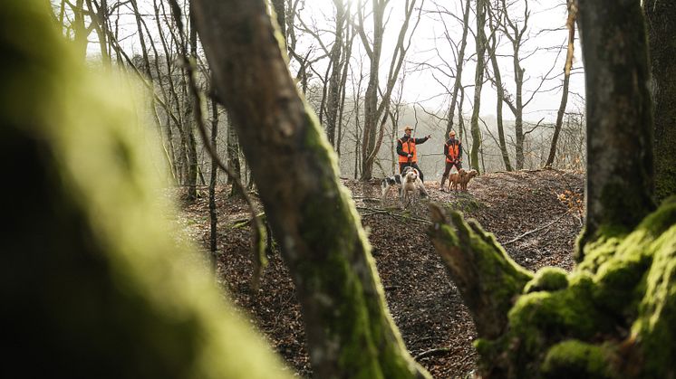 Garmin Hundegerät K 5X