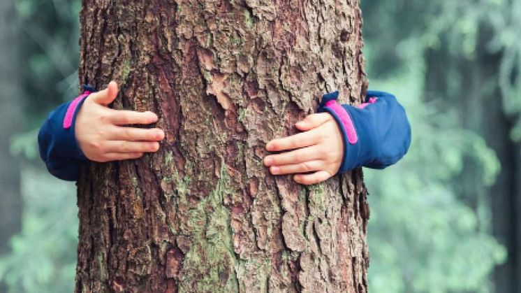 Impact Investment: Gothaer investiert 100 Mio. USD in Naturkapital 