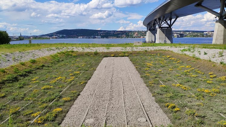 Sundsvallsbron forskningsprojekt rening av dagvatten
