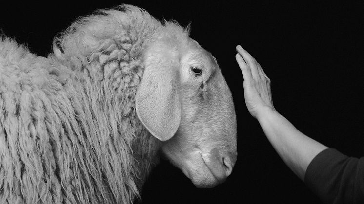 Photo: Joanna Piotrowska