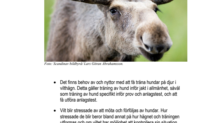 Rapport Utvärdering av djurvälfärden vid träning av hund på hägnat vilt