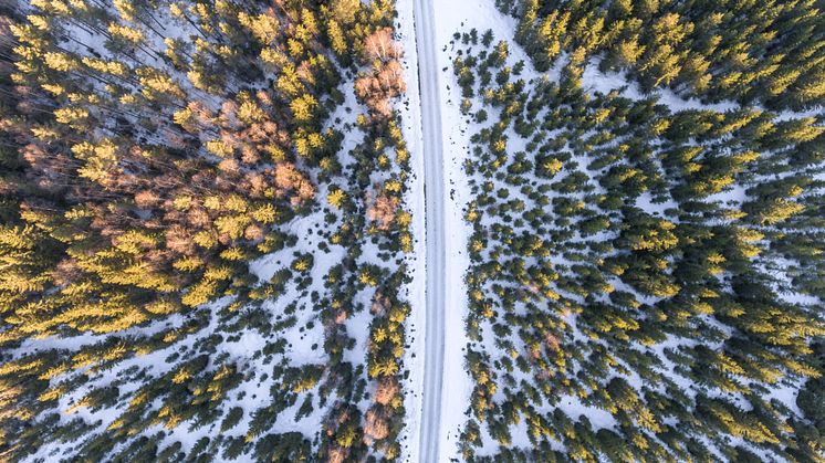 Foto: invisiblepower för Unsplash