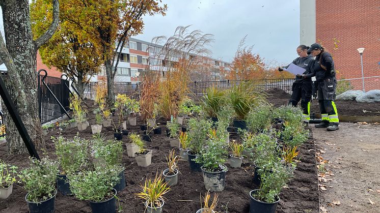 Parken får inte bara nya blommor utan också nya bänkar och ny grillplats. Planen är att parken ska vara klar under hösten 2022. 