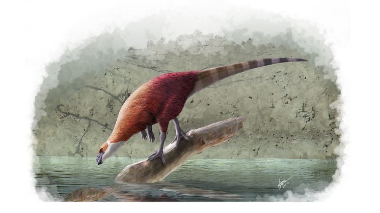 Ornitopoden Parkosaurus