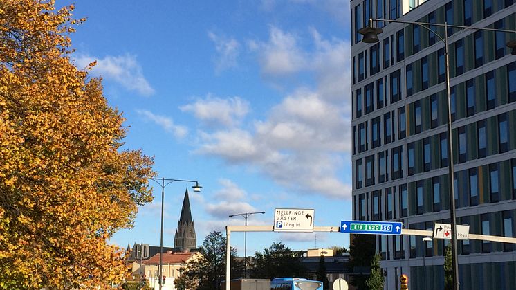Miljön runt tomten där byggnationen ska ske