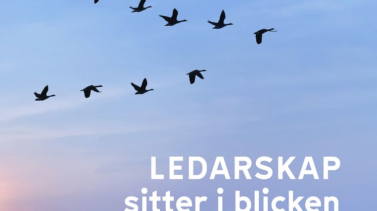 Omslag Ledarskap sitter i blicken