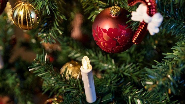 rusta_s4_2021_jultema_nära