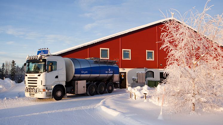 Från den första februari 2022 höjer Norrmejerier betalningen för mjölken till de norrländska mjölkbönderna.