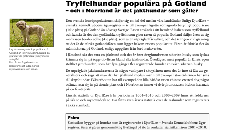 Tryffelhundar populära på Gotland – men i Norrland är det jakthund som gäller