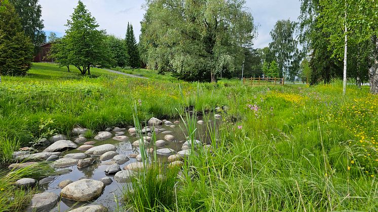 Kvarnbäcken Boden.jpg