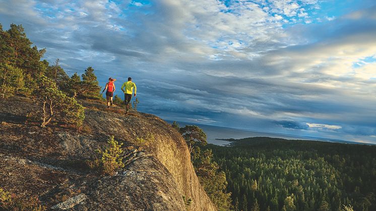 Härnö Trail på Örsjöberget, Härnösand, Höga Kusten