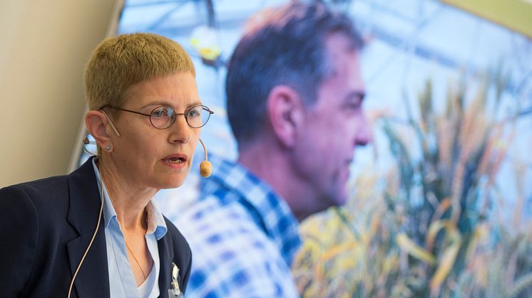 Cindy Kite om utmaningen att ställa om till full hållbarhet på råvarusidan