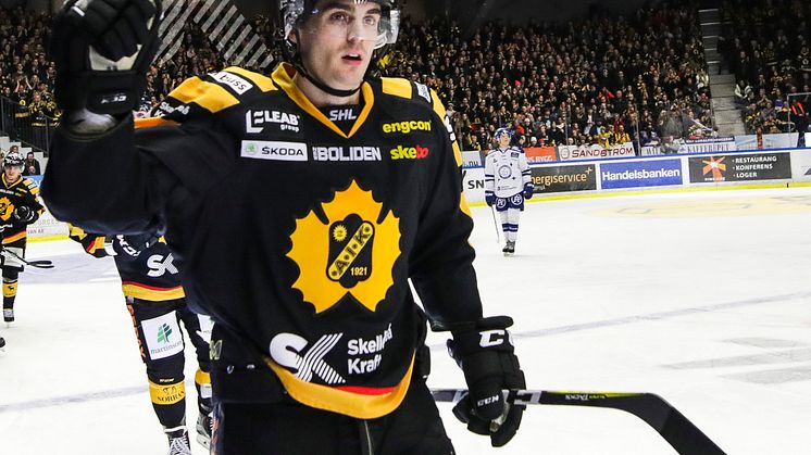 Henrik Hetta, SAIK