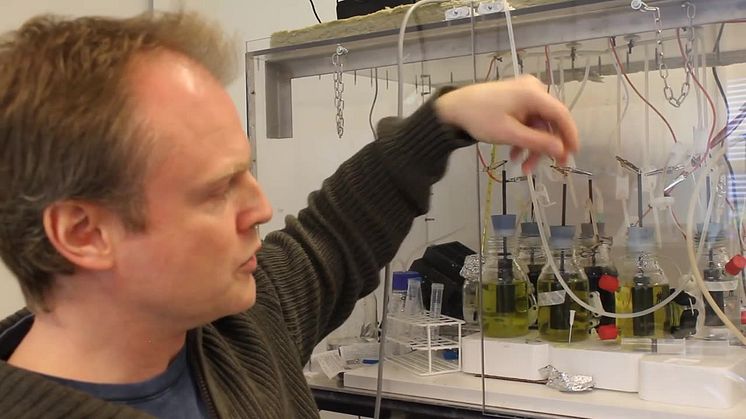 Magnus Sjöblom, forskare vid Luleå tekniska universitet