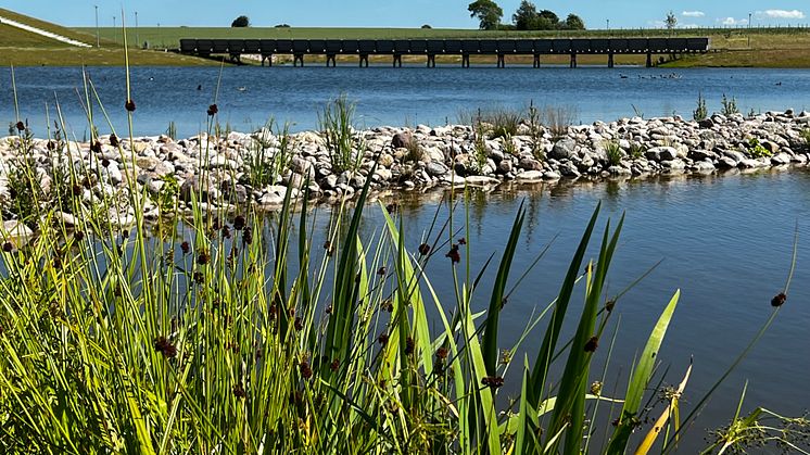 Strandmattor är monterade vid dammkanten.