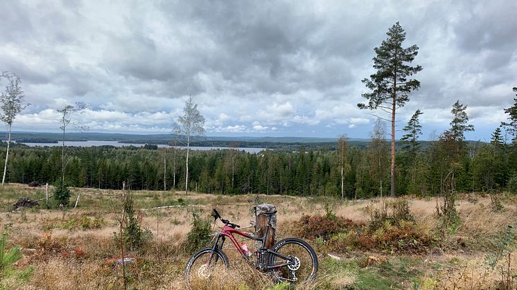 Kottaberget utanför Gyttorp i Nora kommun blir projektområde för utveckling av naturturism
