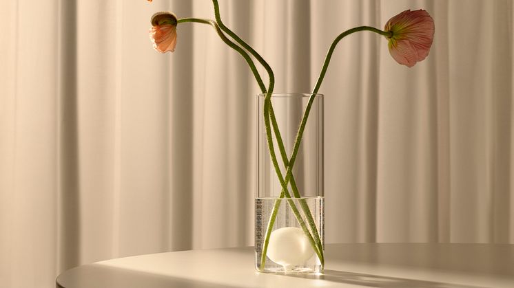 VARMBLIXT vase 119 DKK