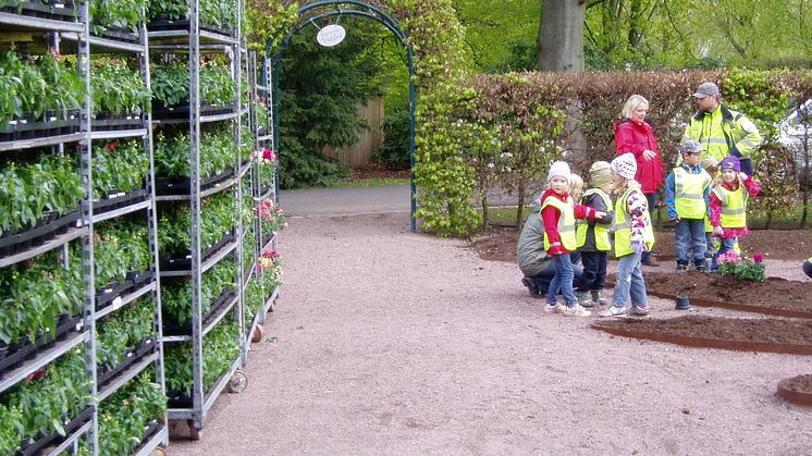 Barnens Trädgård sprider ut sig! – Ängsblommor är temat för 2011