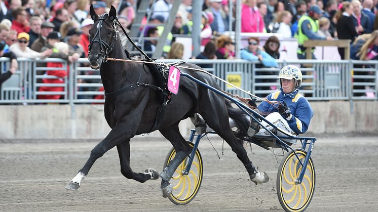 Startlistan för Elitloppet lottad – guldläge för vinnarspel