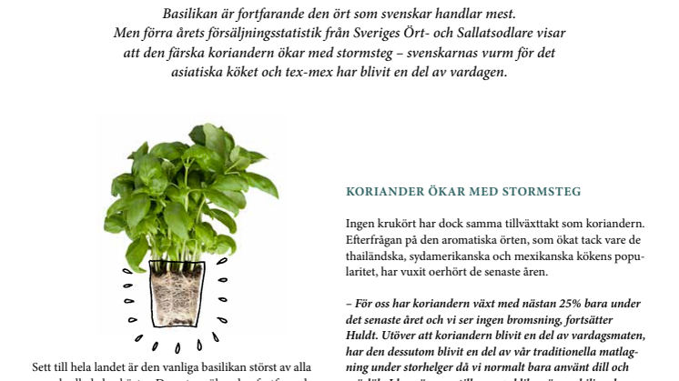 ​Basilika fortfarande svenskarnas favorit men koriandern på väg att ta över