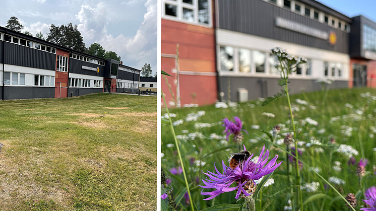Högstadieskolor i Karlstad blev platser för att uppleva biologisk mångfald