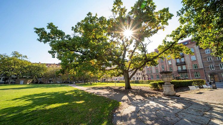 Foto: Helsingborgs stad