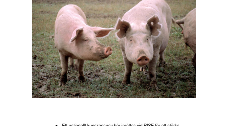 Nationellt kunskapsnav för animalieproduktionen i Sverige