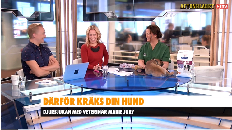 Bild från Aftonbladet TV 