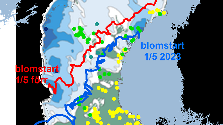 blå2023snö