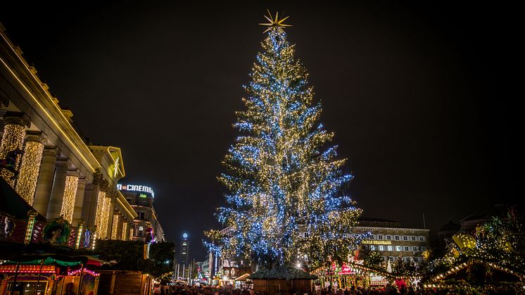 8. Weihnachtsbaum in Stuttgart