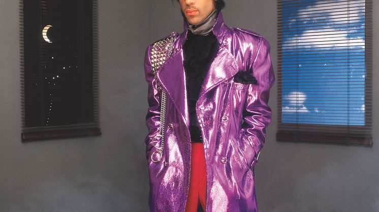 Prince (c) Allen Beaulieu