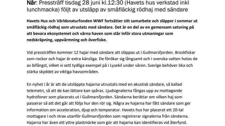Hajsläpp Havets hus 28 juni 2022 - Pressinbjudan MJ.pdf