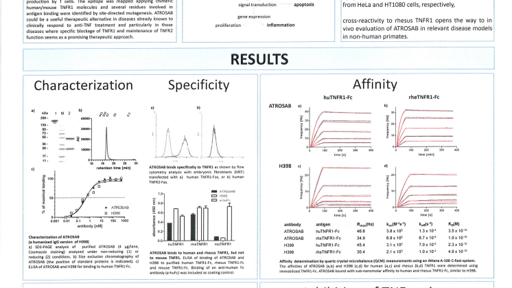 ATROSAB, a humanized antagonistic anti-tumor necrosis factor receptor one specific antibody