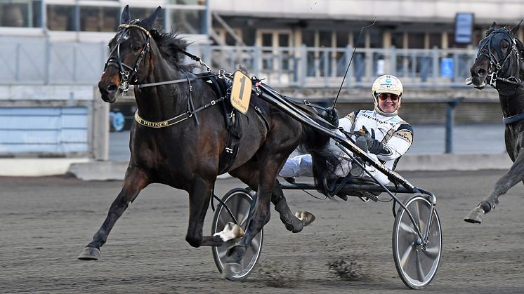 Per Nordströms Önas Prince är inbjuden till Elitloppet. Foto: TR Bild