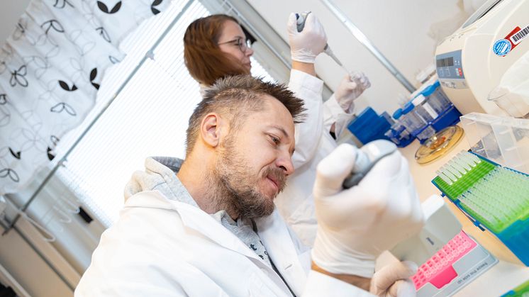 Lech Kaczmarczyk och Susanne Bauer studerar vad som händer i hjärnan i de allra tidigaste faserna av neurodegenerativ sjukdom.