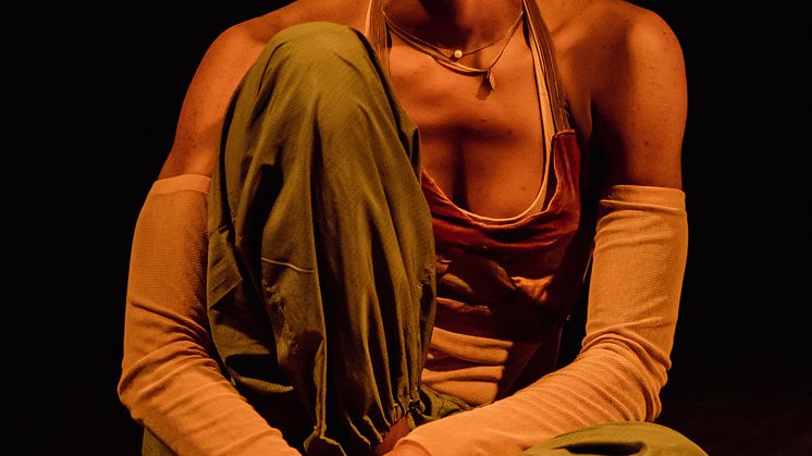 Company Nicolas Huchard - The barefoot diva