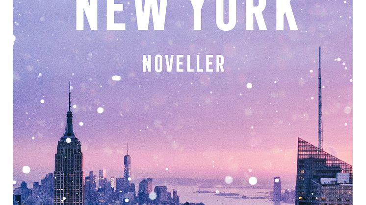 Samtidigt i New York - 24 mysiga julberättelser som utspelas kring New York Library 