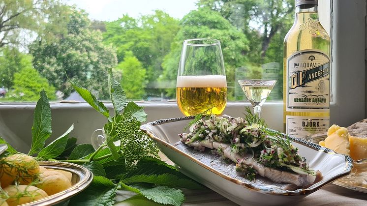 Årets sill med fläder, citron, dill och O.P. Anderson Björk