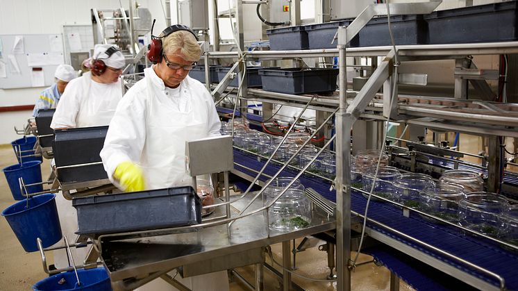 Högtryck i produktion i Kungshamnsfabriken