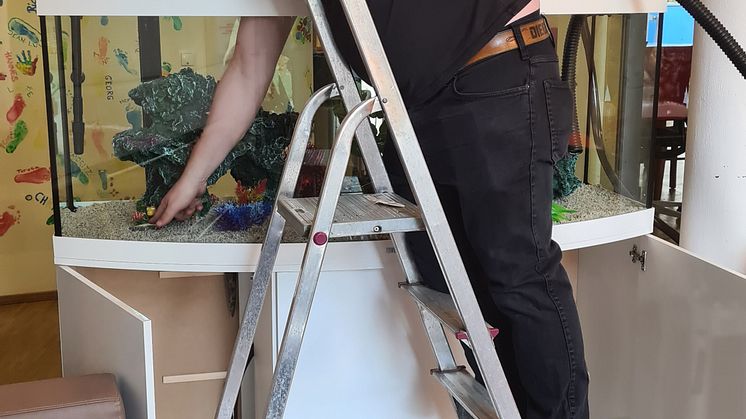 Buntes Aquarium im Kinderhospiz erfreut Kinder, Gäste und das Bärenherz-Team
