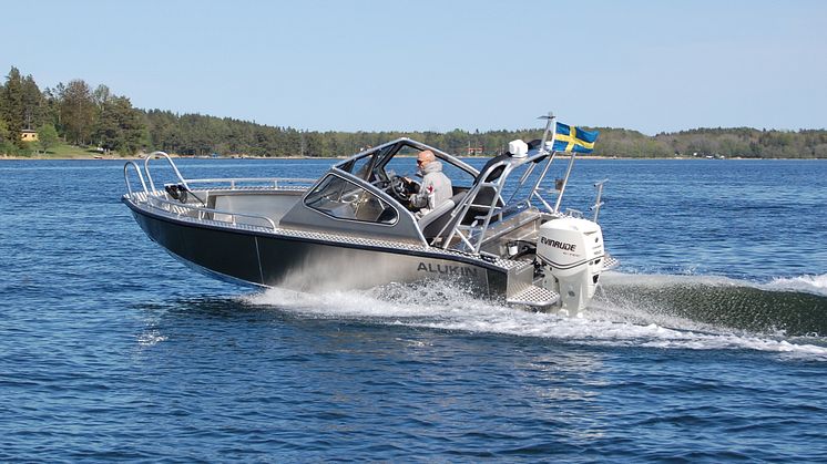 Tuff slitvarg ny skärgårdsfavorit