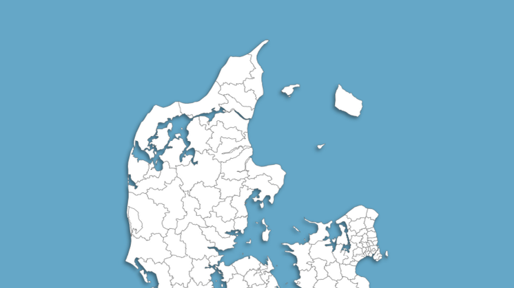 Lokale erhvervspræstationer 2020